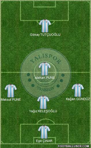 Yalispor Formation 2013
