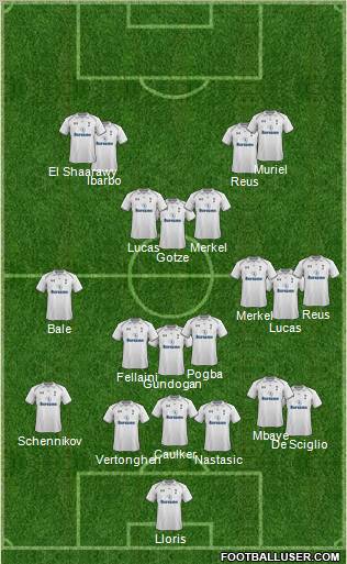 Tottenham Hotspur Formation 2013