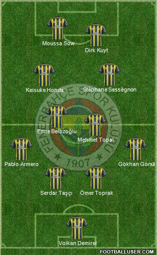 Fenerbahçe SK Formation 2013