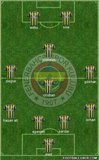 Fenerbahçe SK Formation 2013