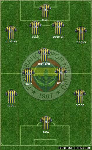 Fenerbahçe SK Formation 2013