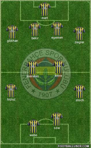 Fenerbahçe SK Formation 2013