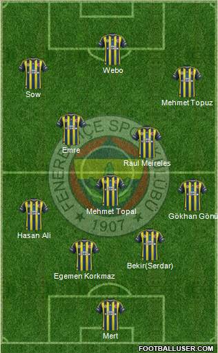 Fenerbahçe SK Formation 2013
