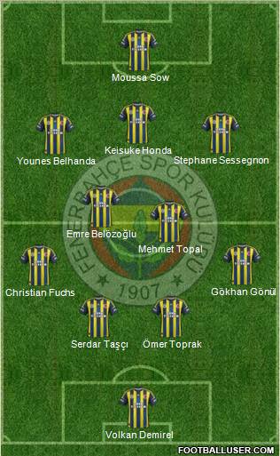 Fenerbahçe SK Formation 2013