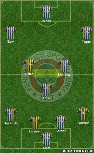 Fenerbahçe SK Formation 2013