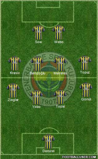 Fenerbahçe SK Formation 2013