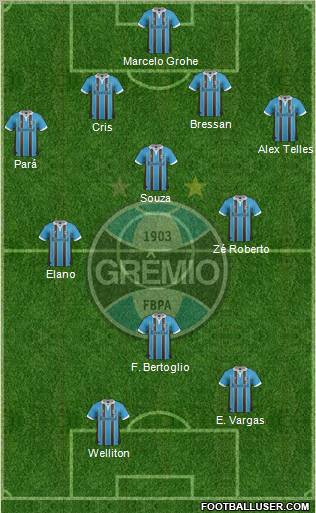 Grêmio FBPA Formation 2013