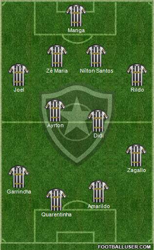 Botafogo FR Formation 2013