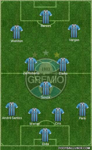 Grêmio FBPA Formation 2013