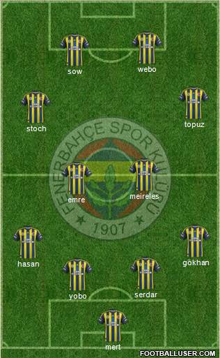 Fenerbahçe SK Formation 2013