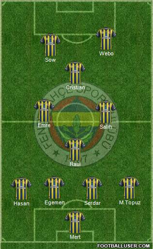 Fenerbahçe SK Formation 2013