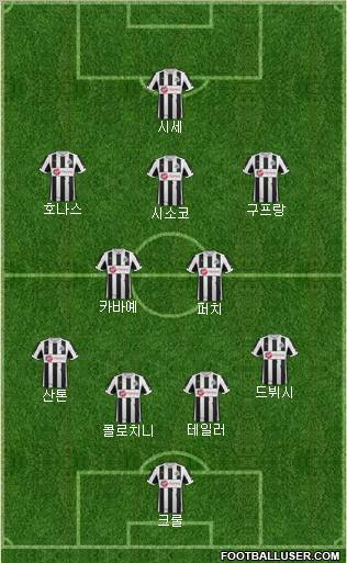 Newcastle United Formation 2013