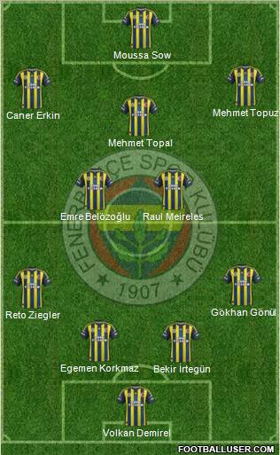 Fenerbahçe SK Formation 2013