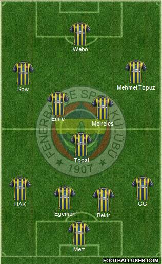 Fenerbahçe SK Formation 2013