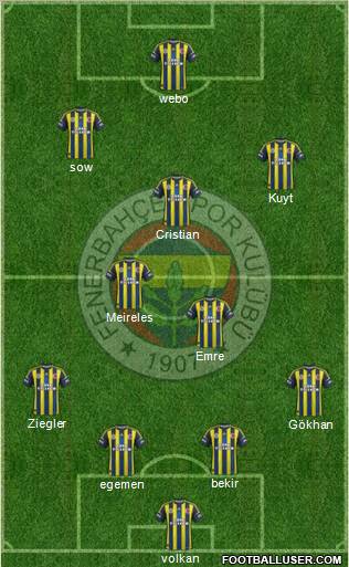 Fenerbahçe SK Formation 2013
