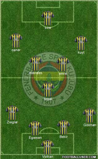 Fenerbahçe SK Formation 2013