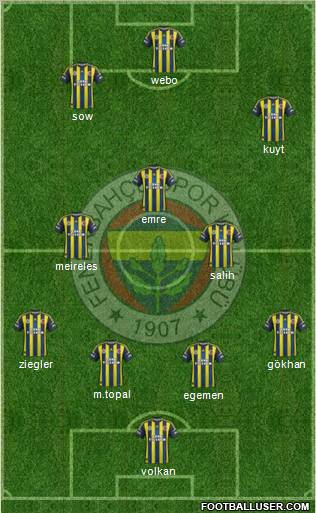 Fenerbahçe SK Formation 2013