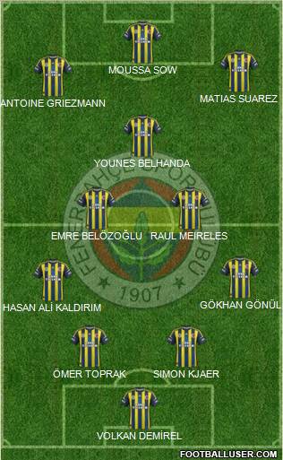 Fenerbahçe SK Formation 2013