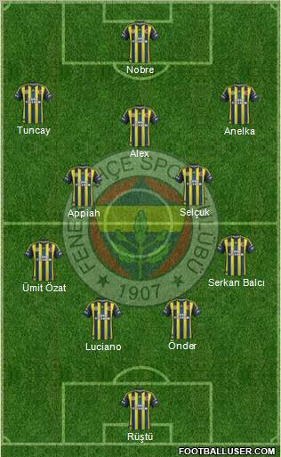 Fenerbahçe SK Formation 2013