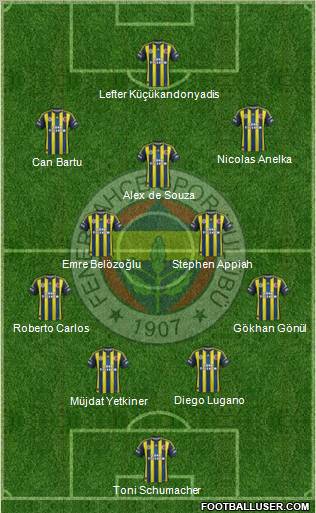 Fenerbahçe SK Formation 2013