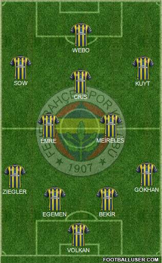 Fenerbahçe SK Formation 2013