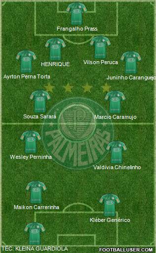 SE Palmeiras Formation 2013