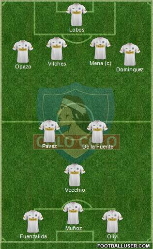 CSD Colo Colo Formation 2013