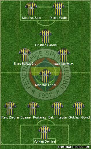 Fenerbahçe SK Formation 2013