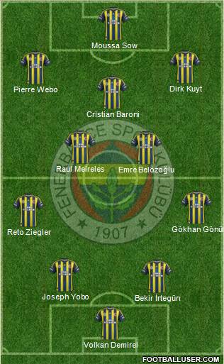 Fenerbahçe SK Formation 2013