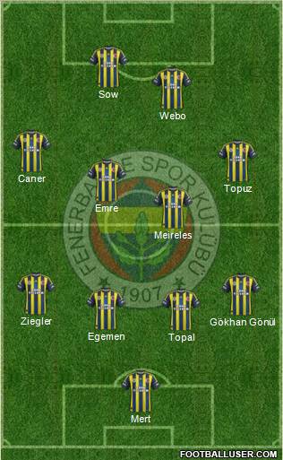 Fenerbahçe SK Formation 2013