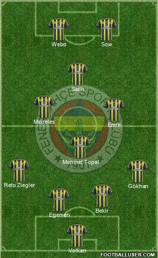 Fenerbahçe SK Formation 2013