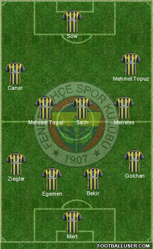 Fenerbahçe SK Formation 2013