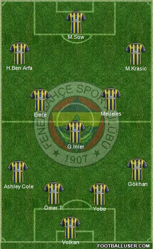 Fenerbahçe SK Formation 2013