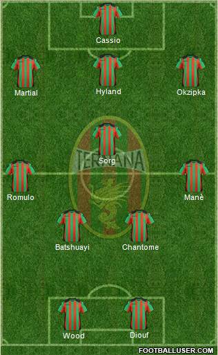 Ternana Formation 2013