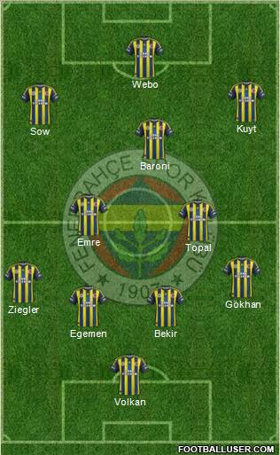 Fenerbahçe SK Formation 2013