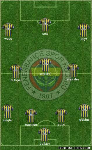 Fenerbahçe SK Formation 2013