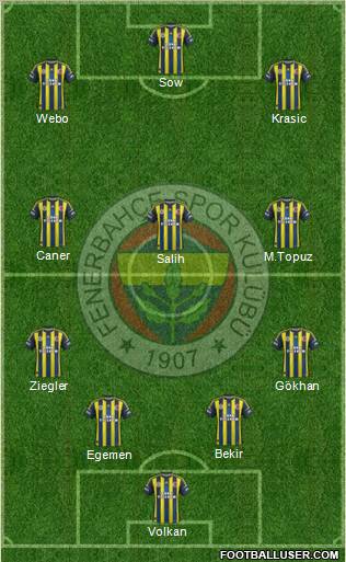 Fenerbahçe SK Formation 2013