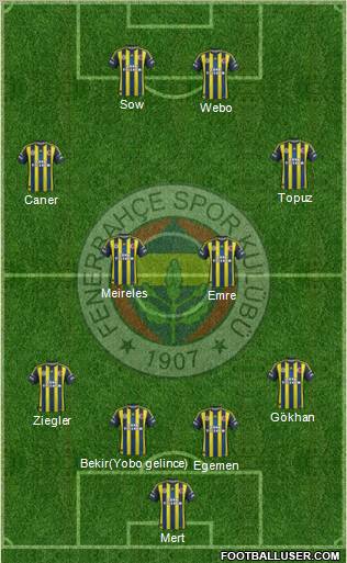 Fenerbahçe SK Formation 2013