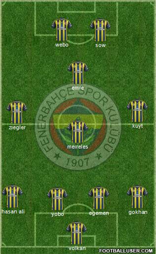 Fenerbahçe SK Formation 2013