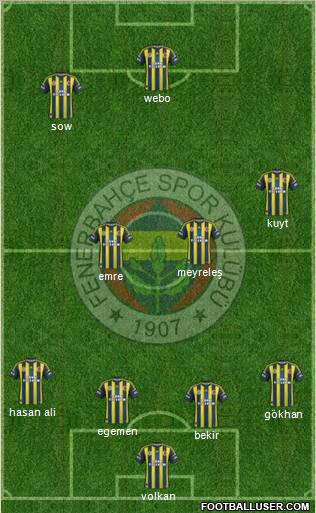 Fenerbahçe SK Formation 2013