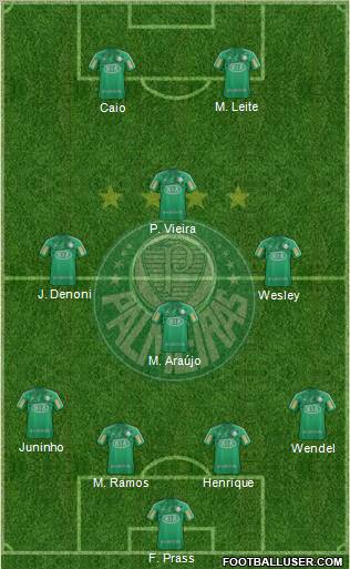 SE Palmeiras Formation 2013