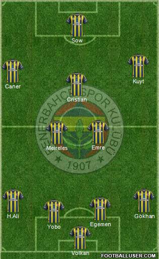 Fenerbahçe SK Formation 2013