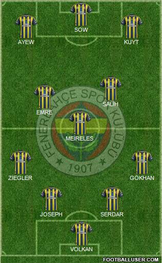 Fenerbahçe SK Formation 2013