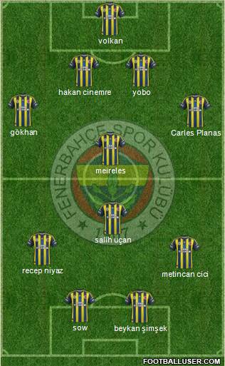 Fenerbahçe SK Formation 2013