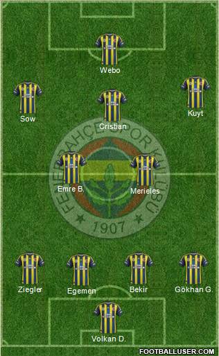 Fenerbahçe SK Formation 2013
