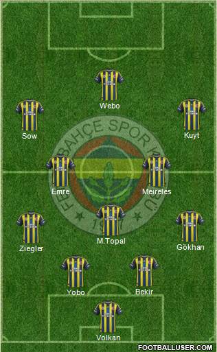 Fenerbahçe SK Formation 2013