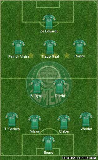 SE Palmeiras Formation 2013