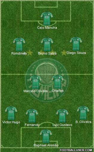 SE Palmeiras Formation 2013