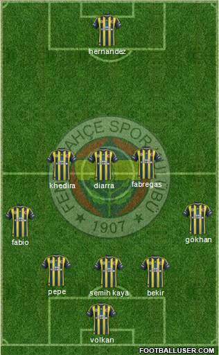 Fenerbahçe SK Formation 2013