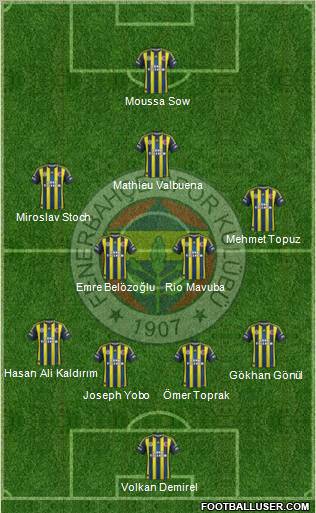 Fenerbahçe SK Formation 2013